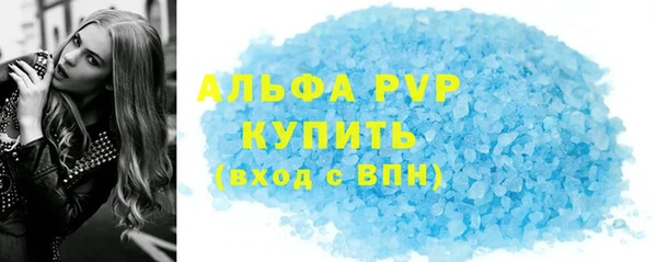 прущие грибы Волосово