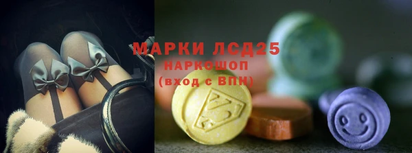 прущие грибы Волосово
