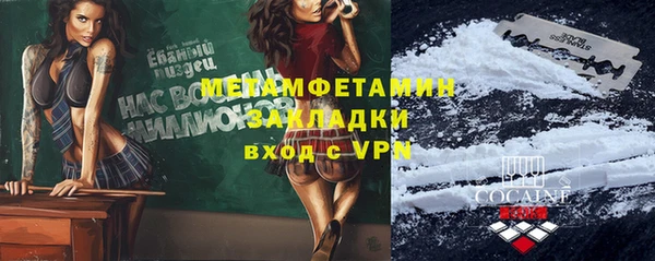 прущие грибы Волосово